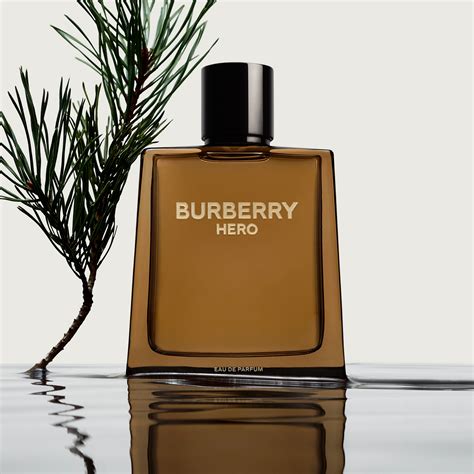 burberry men's cologne